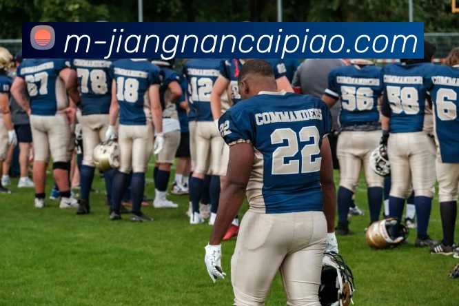 江南彩票APP 封面图